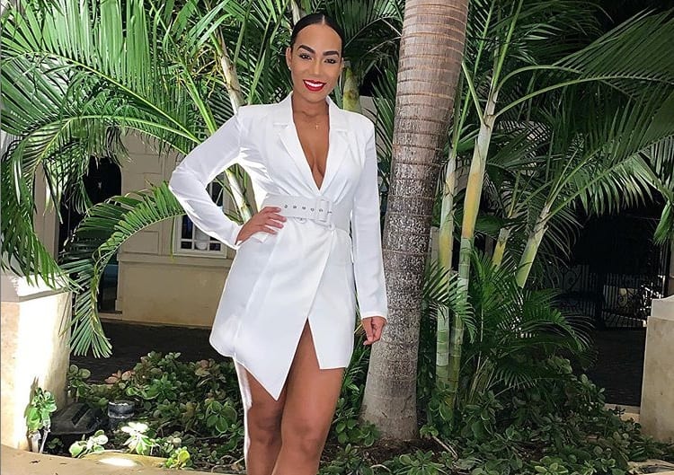 Dj Bravo wife